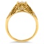 The Riley Ring, smallside view