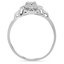 The Reardon Ring, smallside view