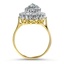 The Adriane Ring, smallside view