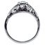 The Tapestry Ring, smallside view