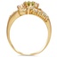 The Greenlee Ring, smallside view