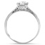 The Bellinger Ring, smallside view