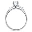 The Paige Ring, smallside view