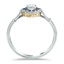 The Bergen Ring, smallside view