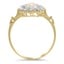 The Rockwell Ring, smallside view