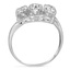 The Artois Ring, smallside view