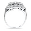 The Jani Ring, smallside view