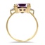 The Yanis Ring, smallside view