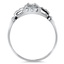The Regan Ring, smallside view