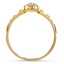 The Colkin Ring, smallside view