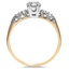 The Desmera Ring, smallside view