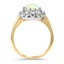 The Dexter Ring, smallside view