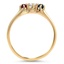 The Trestle Ring, smallside view