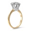The Simplot Ring, smalltop view on a hand