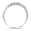 The Ardys Ring, smallside view
