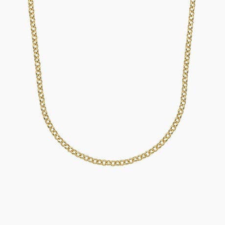 Charlie 18 in. Rolo Chain Necklace