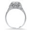 The Waltraud Ring, smallside view