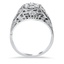 The Lorita Ring, smallside view