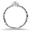 The Ellani Ring, smallside view