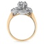 The Jenelle Ring, smallside view