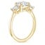 18K Yellow Gold Luxe Selene Three Stone Diamond Ring (2/3 ct. tw.), smallside view
