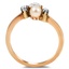The Yeres Ring, smallside view
