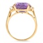 The Shantel Ring, smallside view