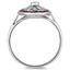 The Holland Ring, smallside view