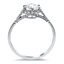 The Anayna Ring, smallside view