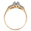 The Sedna Ring, smallside view