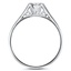 The Geneva Ring, smallside view