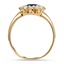 The Trejo Ring, smallside view