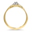 The Amanda Ring, smallside view