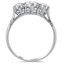 The Ealing Ring, smallside view