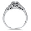 The Oneida Ring, smallside view