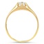 The Carnival Ring, smallside view
