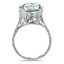 The Sonnett Ring, smallside view