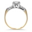 The Yuriko Ring, smallside view