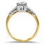 The Justina Ring, smallside view