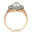 The Derby Ring, smallside view
