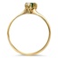 The Hinkley Ring, smallside view