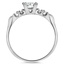 The Elia Ring, smallside view