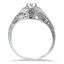The Meda Ring, smallside view