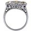 The Artemis Ring, smallside view