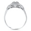 The Izefia Ring, smallside view