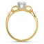 The Payette Ring, smallside view