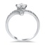 The Lilia Ring, smallside view