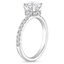 Platinum Constance Hidden Halo Diamond Ring, smallside view