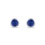 The Elera Earrings