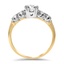 The Sheri Ring, smallside view
